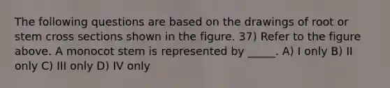 The following questions are based on the drawings of root or stem cross sections shown in the figure. 37) Refer to the figure above. A monocot stem is represented by _____. A) I only B) II only C) III only D) IV only