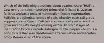 Which of the following questions about ovaries is/are TRUE? a. Cow ovary contains ~100,000 primordial follicles b. Ovarian follicles are basic units of mammalian female reproduction. Follicles are spherical groups of cells whereby each cell group supports one oocyte c. Follicles are periodically stimulated to grow and ovulate oocytes during estrus. At later stages of maturation follicles secrete estrogen. d. The corpus luteum is a prior follicle that was transformed after ovulation and secretes progesterone e. all of the above