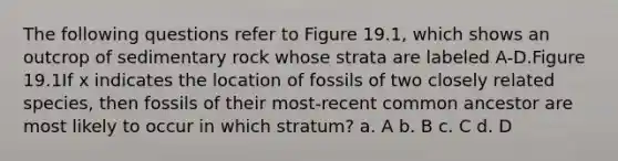 The following questions refer to Figure 19.1, which shows an outcrop of sedimentary rock whose strata are labeled A-D.Figure 19.1If x indicates the location of fossils of two closely related species, then fossils of their most-recent common ancestor are most likely to occur in which stratum? a. A b. B c. C d. D