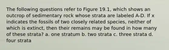 The following questions refer to Figure 19.1, which shows an outcrop of sedimentary rock whose strata are labeled A-D. If x indicates the fossils of two closely related species, neither of which is extinct, then their remains may be found in how many of these strata? a. one stratum b. two strata c. three strata d. four strata