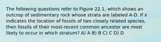 The following questions refer to Figure 22.1, which shows an outcrop of sedimentary rock whose strata are labeled A-D. If x indicates the location of fossils of two closely related species, then fossils of their most-recent common ancestor are most likely to occur in which stratum? A) A B) B C) C D) D