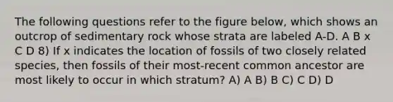 The following questions refer to the figure below, which shows an outcrop of sedimentary rock whose strata are labeled A-D. A B x C D 8) If x indicates the location of fossils of two closely related species, then fossils of their most-recent common ancestor are most likely to occur in which stratum? A) A B) B C) C D) D