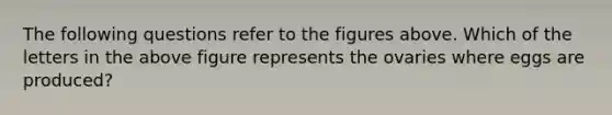 The following questions refer to the figures above. Which of the letters in the above figure represents the ovaries where eggs are produced?