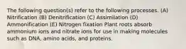 The following question(s) refer to the following processes. (A) Nitrification (B) Denitrification (C) Assimilation (D) Ammonification (E) Nitrogen fixation Plant roots absorb ammonium ions and nitrate ions for use in making molecules such as DNA, amino acids, and proteins.