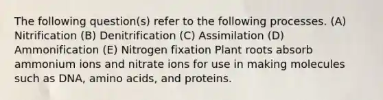 The following question(s) refer to the following processes. (A) Nitrification (B) Denitrification (C) Assimilation (D) Ammonification (E) Nitrogen fixation Plant roots absorb ammonium ions and nitrate ions for use in making molecules such as DNA, <a href='https://www.questionai.com/knowledge/k9gb720LCl-amino-acids' class='anchor-knowledge'>amino acids</a>, and proteins.