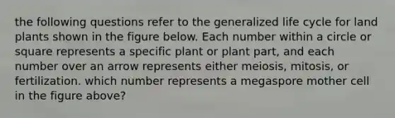 the following questions refer to the generalized life cycle for land plants shown in the figure below. Each number within a circle or square represents a specific plant or plant part, and each number over an arrow represents either meiosis, mitosis, or fertilization. which number represents a megaspore mother cell in the figure above?