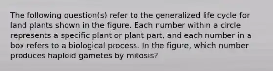 The following question(s) refer to the generalized life cycle for land plants shown in the figure. Each number within a circle represents a specific plant or plant part, and each number in a box refers to a biological process. In the figure, which number produces haploid gametes by mitosis?