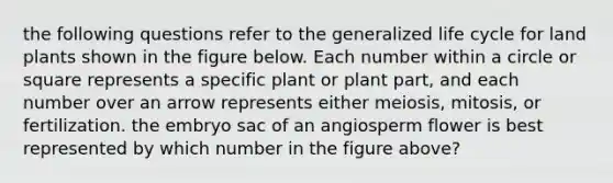 the following questions refer to the generalized life cycle for land plants shown in the figure below. Each number within a circle or square represents a specific plant or plant part, and each number over an arrow represents either meiosis, mitosis, or fertilization. the embryo sac of an angiosperm flower is best represented by which number in the figure above?