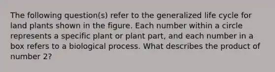 The following question(s) refer to the generalized life cycle for land plants shown in the figure. Each number within a circle represents a specific plant or plant part, and each number in a box refers to a biological process. What describes the product of number 2?