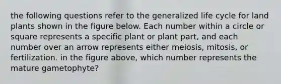 the following questions refer to the generalized life cycle for land plants shown in the figure below. Each number within a circle or square represents a specific plant or plant part, and each number over an arrow represents either meiosis, mitosis, or fertilization. in the figure above, which number represents the mature gametophyte?