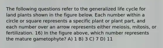 The following questions refer to the generalized life cycle for land plants shown in the figure below. Each number within a circle or square represents a specific plant or plant part, and each number over an arrow represents either meiosis, mitosis, or fertilization. 16) In the figure above, which number represents the mature gametophyte? A) 1 B) 3 C) 7 D) 11