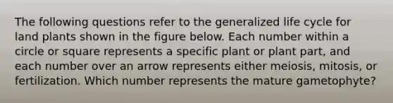 The following questions refer to the generalized life cycle for land plants shown in the figure below. Each number within a circle or square represents a specific plant or plant part, and each number over an arrow represents either meiosis, mitosis, or fertilization. Which number represents the mature gametophyte?