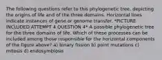 The following questions refer to this phylogenetic tree, depicting the origins of life and of the three domains. Horizontal lines indicate instances of gene or genome transfer. *PICTURE INCLUDED ATTEMPT 4 QUESTION 4* A possible phylogenetic tree for the three domains of life. Which of these processes can be included among those responsible for the horizontal components of the figure above? a) binary fission b) point mutations c) mitosis d) endosymbiosis