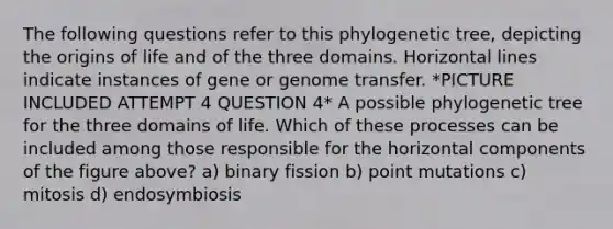 The following questions refer to this phylogenetic tree, depicting the origins of life and of the three domains. Horizontal lines indicate instances of gene or genome transfer. *PICTURE INCLUDED ATTEMPT 4 QUESTION 4* A possible phylogenetic tree for the three domains of life. Which of these processes can be included among those responsible for the horizontal components of the figure above? a) binary fission b) point mutations c) mitosis d) endosymbiosis