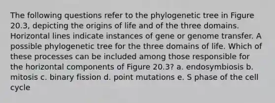 The following questions refer to the phylogenetic tree in Figure 20.3, depicting the origins of life and of the three domains. Horizontal lines indicate instances of gene or genome transfer. A possible phylogenetic tree for the three domains of life. Which of these processes can be included among those responsible for the horizontal components of Figure 20.3? a. endosymbiosis b. mitosis c. binary fission d. point mutations e. S phase of the <a href='https://www.questionai.com/knowledge/keQNMM7c75-cell-cycle' class='anchor-knowledge'>cell cycle</a>