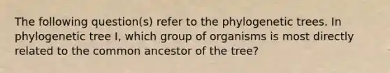 The following question(s) refer to the phylogenetic trees. In phylogenetic tree I, which group of organisms is most directly related to the common ancestor of the tree?