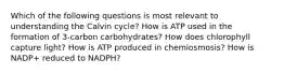 Which of the following questions is most relevant to understanding the Calvin cycle? How is ATP used in the formation of 3-carbon carbohydrates? How does chlorophyll capture light? How is ATP produced in chemiosmosis? How is NADP+ reduced to NADPH?