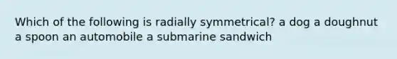 Which of the following is radially symmetrical? a dog a doughnut a spoon an automobile a submarine sandwich