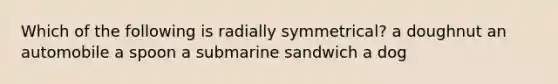 Which of the following is radially symmetrical? a doughnut an automobile a spoon a submarine sandwich a dog