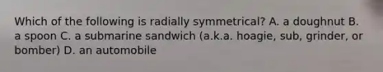 Which of the following is radially symmetrical? A. a doughnut B. a spoon C. a submarine sandwich (a.k.a. hoagie, sub, grinder, or bomber) D. an automobile