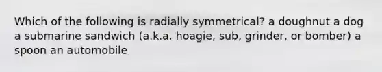 Which of the following is radially symmetrical? a doughnut a dog a submarine sandwich (a.k.a. hoagie, sub, grinder, or bomber) a spoon an automobile