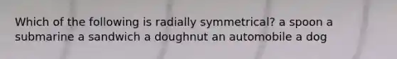 Which of the following is radially symmetrical? a spoon a submarine a sandwich a doughnut an automobile a dog