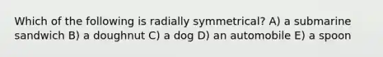 Which of the following is radially symmetrical? A) a submarine sandwich B) a doughnut C) a dog D) an automobile E) a spoon