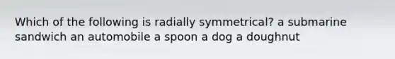 Which of the following is radially symmetrical? a submarine sandwich an automobile a spoon a dog a doughnut