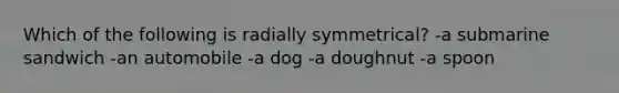 Which of the following is radially symmetrical? -a submarine sandwich -an automobile -a dog -a doughnut -a spoon