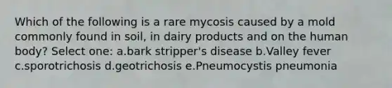 Which of the following is a rare mycosis caused by a mold commonly found in soil, in dairy products and on the human body? Select one: a.bark stripper's disease b.Valley fever c.sporotrichosis d.geotrichosis e.Pneumocystis pneumonia