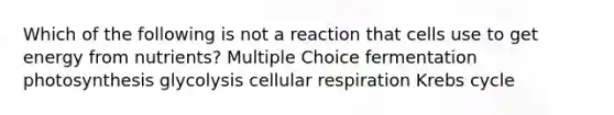 Which of the following is not a reaction that cells use to get energy from nutrients? Multiple Choice fermentation photosynthesis glycolysis cellular respiration Krebs cycle