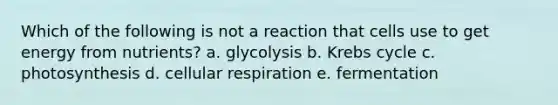 Which of the following is not a reaction that cells use to get energy from nutrients? a. glycolysis b. Krebs cycle c. photosynthesis d. cellular respiration e. fermentation