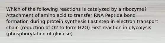 Which of the following reactions is catalyzed by a ribozyme? Attachment of amino acid to <a href='https://www.questionai.com/knowledge/kYREgpZMtc-transfer-rna' class='anchor-knowledge'>transfer rna</a> Peptide bond formation during protein synthesis Last step in electron transport chain (reduction of O2 to form H2O) First reaction in glycolysis (phosphorylation of glucose)