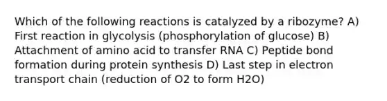 Which of the following reactions is catalyzed by a ribozyme? A) First reaction in glycolysis (phosphorylation of glucose) B) Attachment of amino acid to transfer RNA C) Peptide bond formation during protein synthesis D) Last step in electron transport chain (reduction of O2 to form H2O)