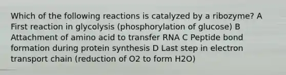 Which of the following reactions is catalyzed by a ribozyme? A First reaction in glycolysis (phosphorylation of glucose) B Attachment of amino acid to transfer RNA C Peptide bond formation during protein synthesis D Last step in electron transport chain (reduction of O2 to form H2O)