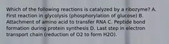 Which of the following reactions is catalyzed by a ribozyme? A. First reaction in glycolysis (phosphorylation of glucose) B. Attachment of amino acid to transfer RNA C. Peptide bond formation during protein synthesis D. Last step in electron transport chain (reduction of O2 to form H2O).