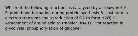 Which of the following reactions is catalyzed by a ribozyme? A. Peptide bond formation during protein synthesis B. Last step in electron transport chain (reduction of O2 to form H2O) C. Attachment of amino acid to <a href='https://www.questionai.com/knowledge/kYREgpZMtc-transfer-rna' class='anchor-knowledge'>transfer rna</a> D. First reaction in glycolysis (phosphorylation of glucose)