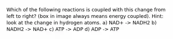 Which of the following reactions is coupled with this change from left to right? (box in image always means energy coupled). Hint: look at the change in hydrogen atoms. a) NAD+ -> NADH2 b) NADH2 -> NAD+ c) ATP -> ADP d) ADP -> ATP