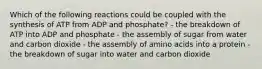 Which of the following reactions could be coupled with the synthesis of ATP from ADP and phosphate? - the breakdown of ATP into ADP and phosphate - the assembly of sugar from water and carbon dioxide - the assembly of amino acids into a protein - the breakdown of sugar into water and carbon dioxide