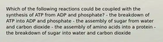 Which of the following reactions could be coupled with the synthesis of ATP from ADP and phosphate? - the breakdown of ATP into ADP and phosphate - the assembly of sugar from water and carbon dioxide - the assembly of amino acids into a protein - the breakdown of sugar into water and carbon dioxide