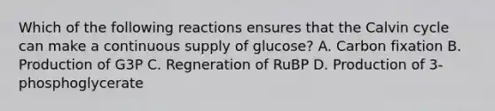 Which of the following reactions ensures that the Calvin cycle can make a continuous supply of glucose? A. Carbon fixation B. Production of G3P C. Regneration of RuBP D. Production of 3-phosphoglycerate