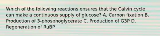 Which of the following reactions ensures that the Calvin cycle can make a continuous supply of glucose? A. Carbon fixation B. Production of 3-phosphoglycerate C. Production of G3P D. Regeneration of RuBP