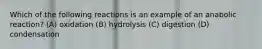 Which of the following reactions is an example of an anabolic reaction? (A) oxidation (B) hydrolysis (C) digestion (D) condensation