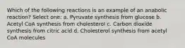 Which of the following reactions is an example of an anabolic reaction? Select one: a. Pyruvate synthesis from glucose b. Acetyl CoA synthesis from cholesterol c. Carbon dioxide synthesis from citric acid d. Cholesterol synthesis from acetyl CoA molecules