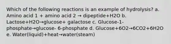 Which of the following reactions is an example of hydrolysis? a. Amino acid 1 + amino acid 2 → dipeptide+H2O b. Lactose+H2O→glucose+ galactose c. Glucose-1-phosphate→glucose- 6-phosphate d. Glucose+6O2→6CO2+6H2O e. Water(liquid)+heat→water(steam)