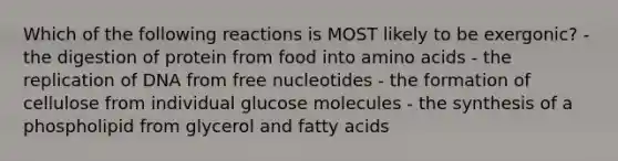 Which of the following reactions is MOST likely to be exergonic? - the digestion of protein from food into amino acids - the replication of DNA from free nucleotides - the formation of cellulose from individual glucose molecules - the synthesis of a phospholipid from glycerol and fatty acids