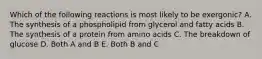 Which of the following reactions is most likely to be exergonic? A. The synthesis of a phospholipid from glycerol and fatty acids B. The synthesis of a protein from amino acids C. The breakdown of glucose D. Both A and B E. Both B and C