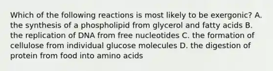 Which of the following reactions is most likely to be exergonic? A. the synthesis of a phospholipid from glycerol and fatty acids B. the replication of DNA from free nucleotides C. the formation of cellulose from individual glucose molecules D. the digestion of protein from food into amino acids