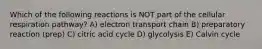 Which of the following reactions is NOT part of the cellular respiration pathway? A) electron transport chain B) preparatory reaction (prep) C) citric acid cycle D) glycolysis E) Calvin cycle