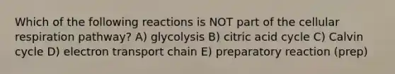 Which of the following reactions is NOT part of the <a href='https://www.questionai.com/knowledge/k1IqNYBAJw-cellular-respiration' class='anchor-knowledge'>cellular respiration</a> pathway? A) glycolysis B) citric acid cycle C) Calvin cycle D) electron transport chain E) preparatory reaction (prep)